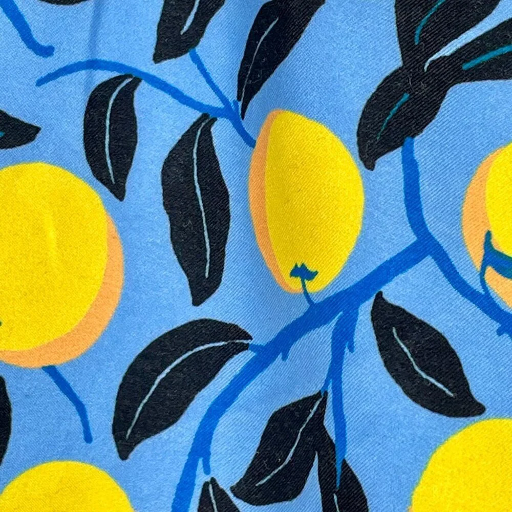 Summersalt Blue Lemon Print Swim Trunks Elastic Waist Drawstring Men's M